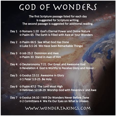 Wonder bible codes  by Jim Springer